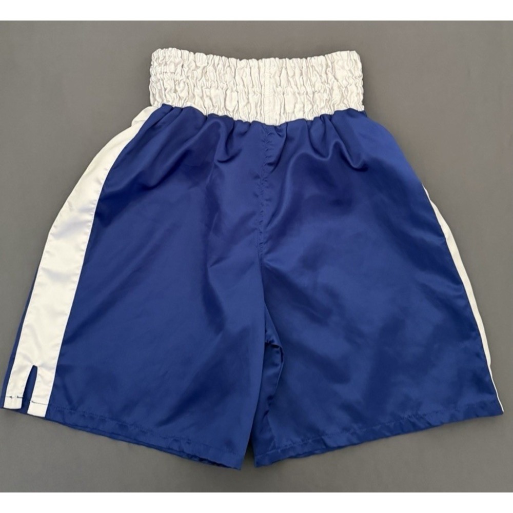 Title Boxing Shorts‎ Mens Size XL Blue White Trunks Training Drawstring Shiny